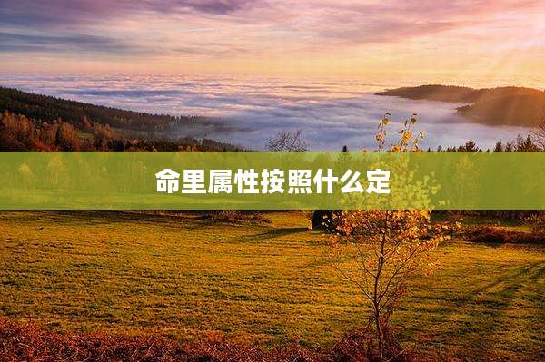 命里属性按照什么定