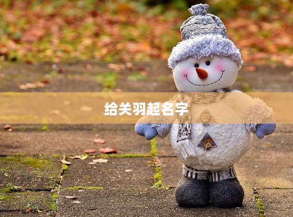 给关羽起名字
