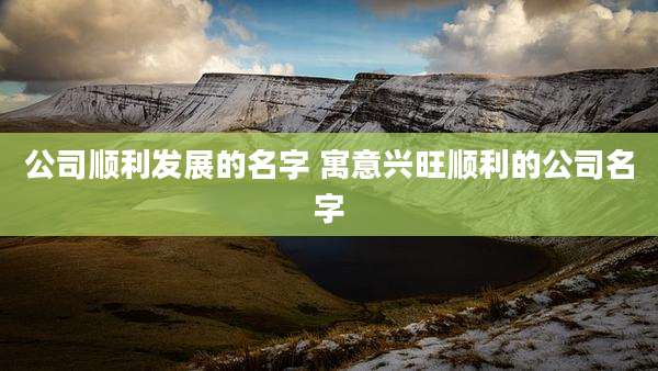 公司顺利发展的名字 寓意兴旺顺利的公司名字