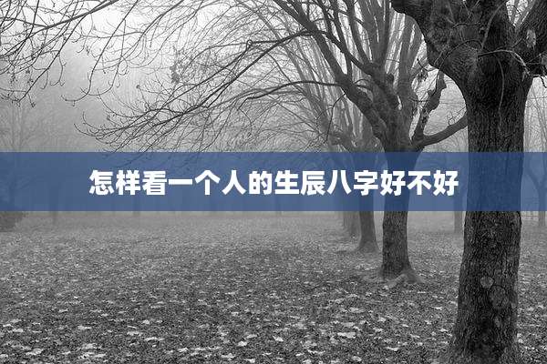 怎样看一个人的生辰八字好不好