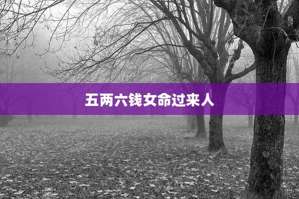 五两六钱女命过来人