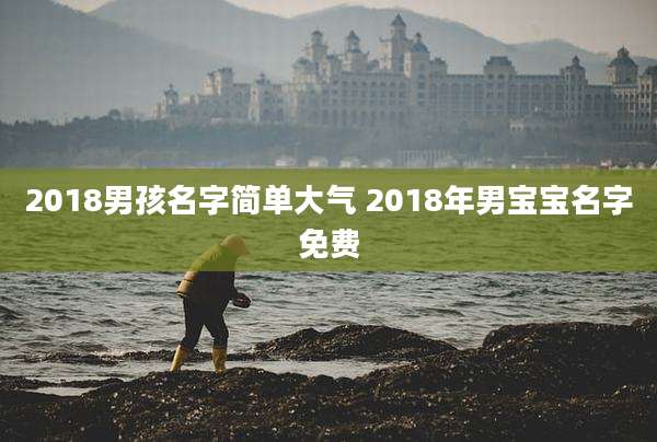 2018男孩名字简单大气 2018年男宝宝名字免费