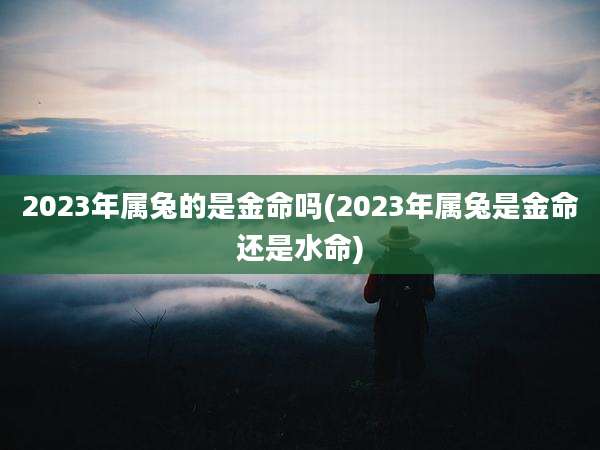 2023年属兔的是金命吗(2023年属兔是金命还是水命)