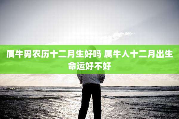 属牛男农历十二月生好吗 属牛人十二月出生命运好不好
