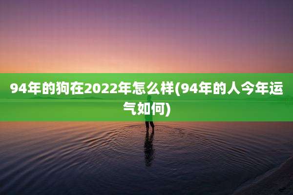94年的狗在2022年怎么样(94年的人今年运气如何)