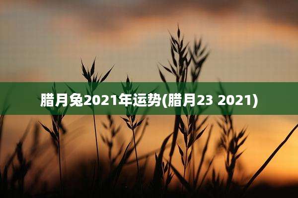腊月兔2021年运势(腊月23 2021)
