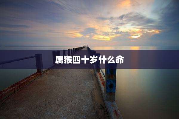 属猴四十岁什么命