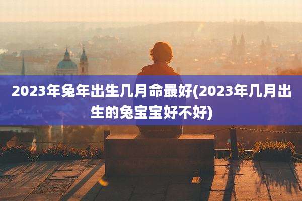 2023年兔年出生几月命最好(2023年几月出生的兔宝宝好不好)