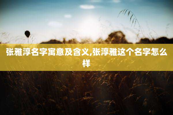 张雅淳名字寓意及含义,张淳雅这个名字怎么样