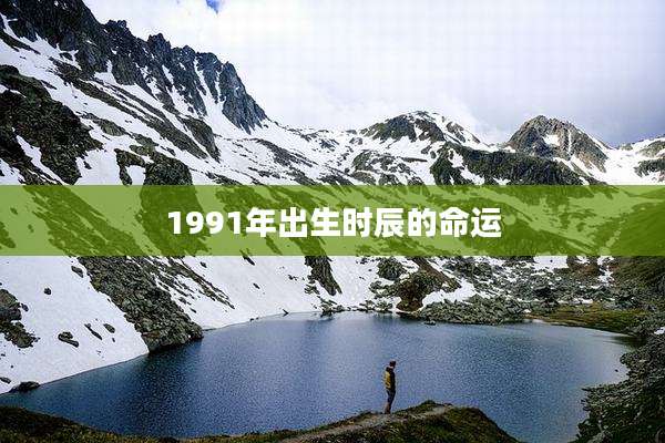 1991年出生时辰的命运