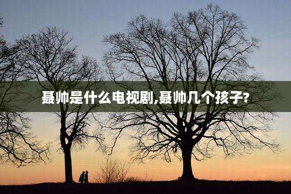 聂帅是什么电视剧,聂帅几个孩子?