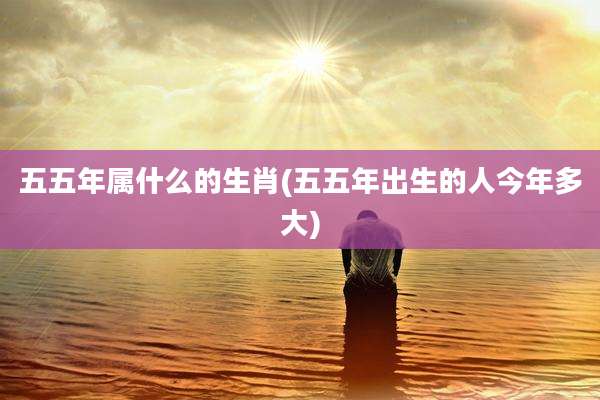 五五年属什么的生肖(五五年出生的人今年多大)