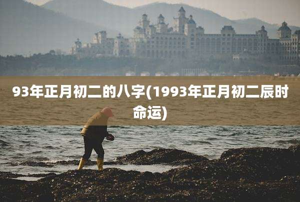 93年正月初二的八字(1993年正月初二辰时命运)