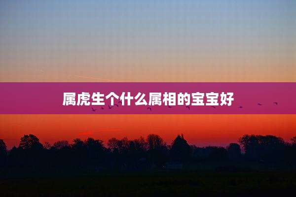 属虎生个什么属相的宝宝好