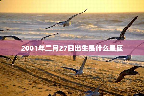 2001年二月27日出生是什么星座