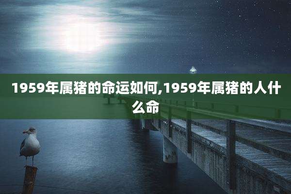 1959年属猪的命运如何,1959年属猪的人什么命