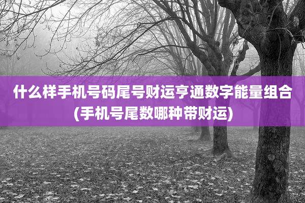 什么样手机号码尾号财运亨通数字能量组合(手机号尾数哪种带财运)