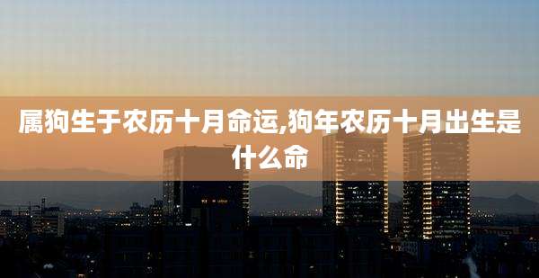 属狗生于农历十月命运,狗年农历十月出生是什么命