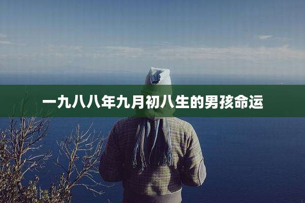 一九八八年九月初八生的男孩命运
