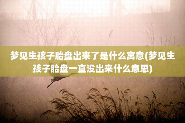 梦见生孩子胎盘出来了是什么寓意(梦见生孩子胎盘一直没出来什么意思)