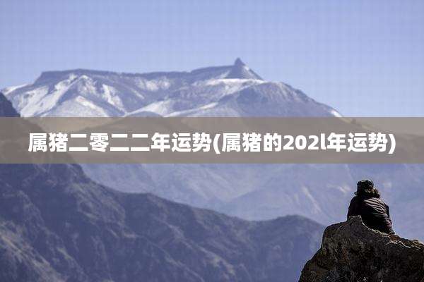 属猪二零二二年运势(属猪的202l年运势)