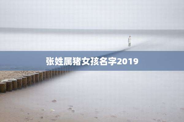 张姓属猪女孩名字2019