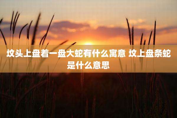 坟头上盘着一盘大蛇有什么寓意 坟上盘条蛇是什么意思