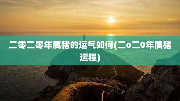 二零二零年属猪的运气如何(二o二0年属猪运程)