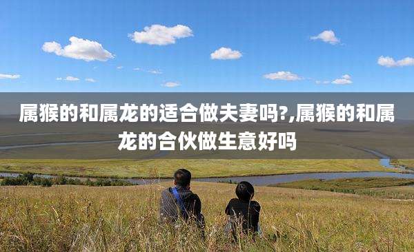 属猴的和属龙的适合做夫妻吗?,属猴的和属龙的合伙做生意好吗