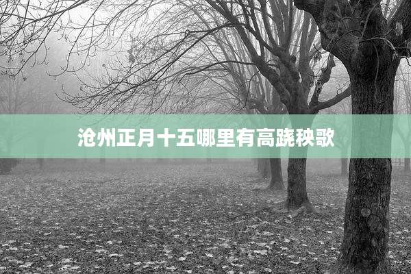 沧州正月十五哪里有高跷秧歌
