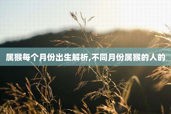 属猴每个月份出生解析,不同月份属猴的人的