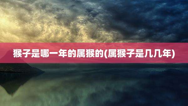 猴子是哪一年的属猴的(属猴子是几几年)