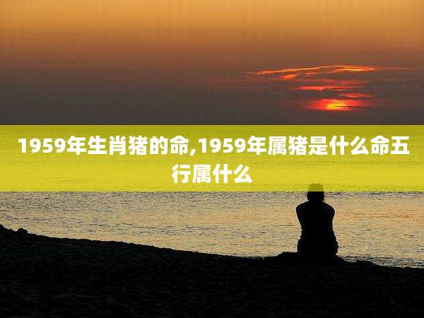 1959年生肖猪的命,1959年属猪是什么命五行属什么