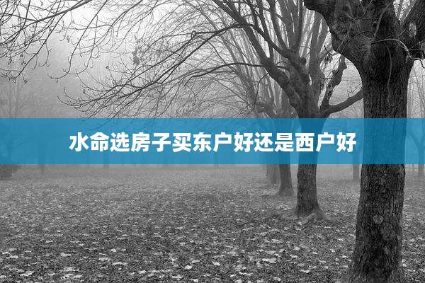 水命选房子买东户好还是西户好