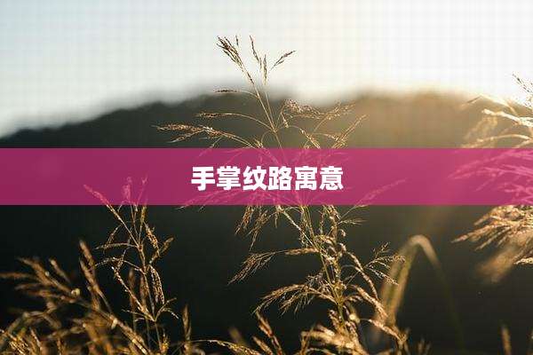 手掌纹路寓意