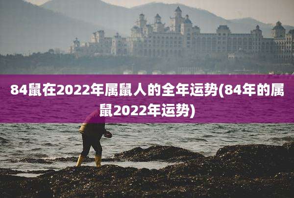 84鼠在2022年属鼠人的全年运势(84年的属鼠2022年运势)