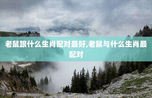 老鼠跟什么生肖配对最好,老鼠与什么生肖最配对
