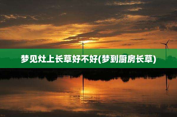梦见灶上长草好不好(梦到厨房长草)