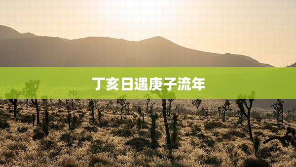 丁亥日遇庚子流年