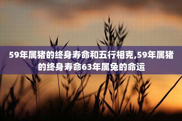 59年属猪的终身寿命和五行相克,59年属猪的终身寿命63年属兔的命运