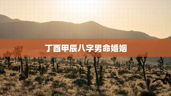 丁酉甲辰八字男命婚姻