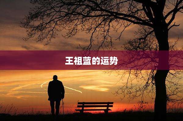 王祖蓝的运势