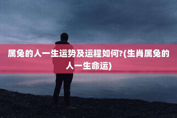 属兔的人一生运势及运程如何?(生肖属兔的人一生命运)