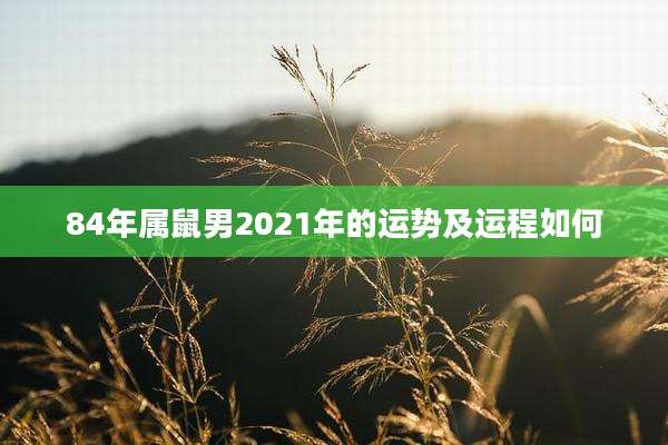 84年属鼠男2021年的运势及运程如何
