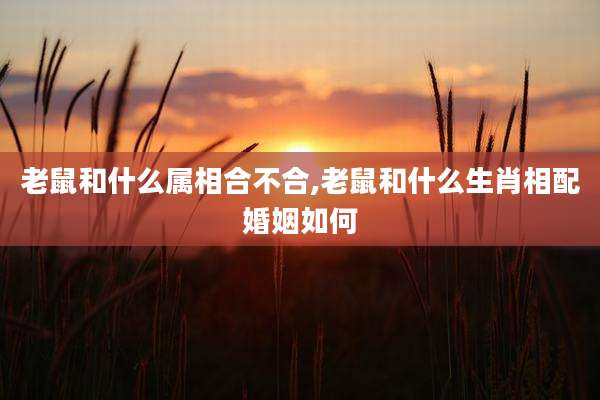 老鼠和什么属相合不合,老鼠和什么生肖相配婚姻如何