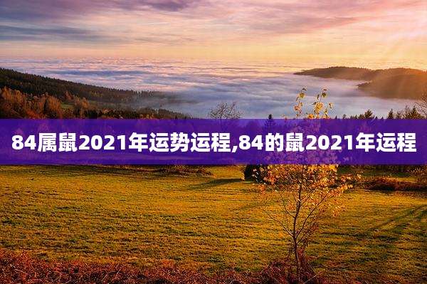 84属鼠2021年运势运程,84的鼠2021年运程