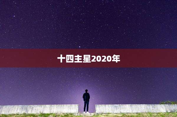 十四主星2020年