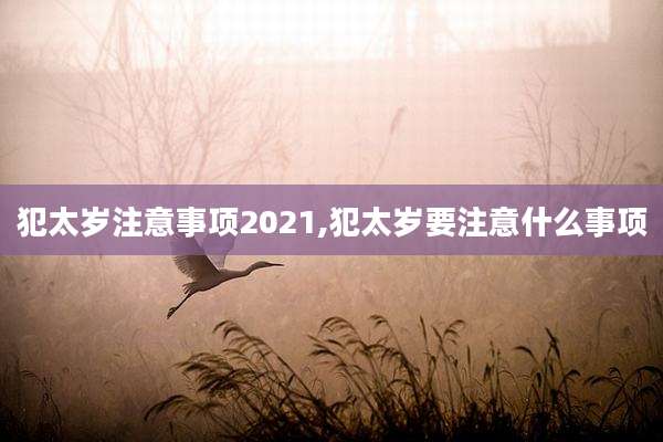 犯太岁注意事项2021,犯太岁要注意什么事项