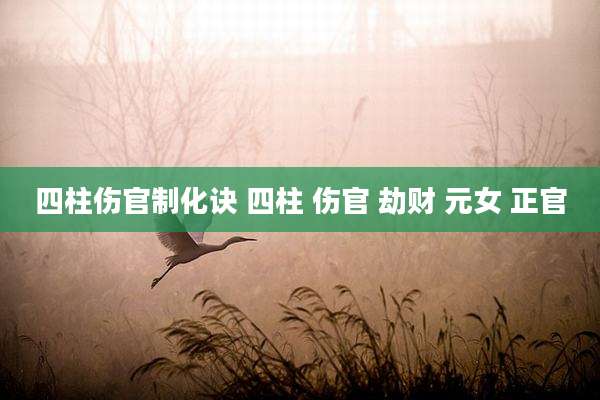 四柱伤官制化诀 四柱 伤官 劫财 元女 正官