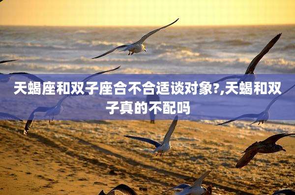 天蝎座和双子座合不合适谈对象?,天蝎和双子真的不配吗